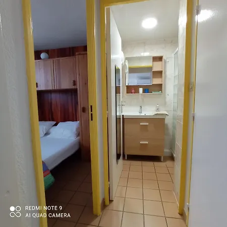 Maison Confortable Avec Piscine Partagée à Saint-cyprien